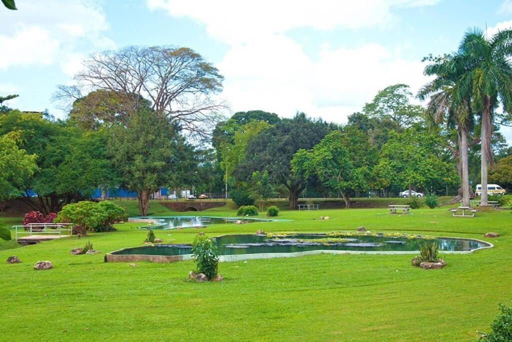 Raynebow Chateau - Chic City Getaway Port of Spain Dış mekan fotoğraf